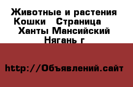 Животные и растения Кошки - Страница 6 . Ханты-Мансийский,Нягань г.